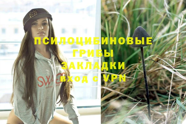ПСИЛОЦИБИНОВЫЕ ГРИБЫ Наволоки
